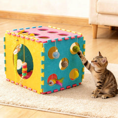 MOYMO chat utilisant la maisonnette pour se cacher et jouer