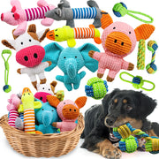 Mruq pet emballage du lot de 12 jouets, pratique et attractif pour offrir