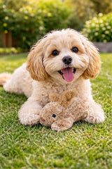 Multipet Thumperz comparaison taille près d'une règle, idéal pour petits chiens