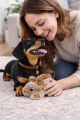 Multipet Thumperz en main de chien lors d'un jeu interactif, stimulation active