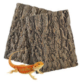 MUYG fond de liège face avant montrant un décor naturel et accroche pour reptiles