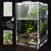 MYGIIKAKA terrarium face avant montrant visibilité totale bénéfice observation