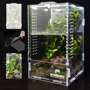 MYGIIKAKA terrarium face avant montrant visibilité totale bénéfice observation
