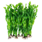 MyLifeUNIT emballage et contenu montrant 10 plantes, décoration prête à l'emploi