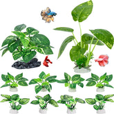 MyLifeUNIT ensemble 10 plantes vues frontales offrant décor naturel et sécurité