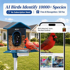 Nafnti mangeoire en utilisation dans jardin pour observer oiseaux facilement