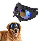 NAMSAN lunettes chien face avant montrant ajustement confortable et protection