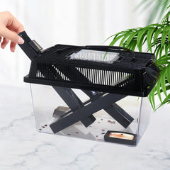 NANEEZOO bol d'alimentation intégré illustrant le rangement hygiénique des aliments pour grillons