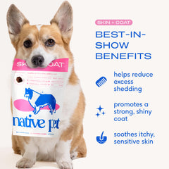 Native Pet gros plan sur la texture air‑dried d'un chew, bénéfice biodisponibilité des nutriments