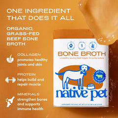 Native Pet préparation dans un bol illustrant hydratation et facilité d'utilisation