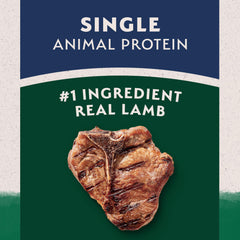 Natural Balance bol servi avec croquettes pour repas quotidien nutritif
