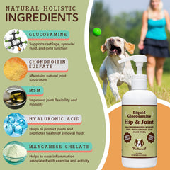 Natural Dog Company bouteille glucosamine en gros plan, identifie ingrédients clés