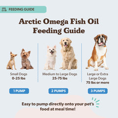 Natural Dog Company huile versée sur croquettes pour améliorer goût et apport oméga
