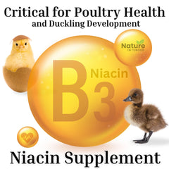 Nature INTENDED application dans distributeur pour une distribution pratique et rentable