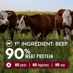 NATURE'S LOGIC main versant croquettes pour illustrer portionnement facile