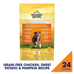 Nature's Recipe gros plan des croquettes montrant texture et appétence pour chiens