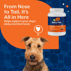 NaturVet détail d’un morceau de chew montrant la consistance nutritive