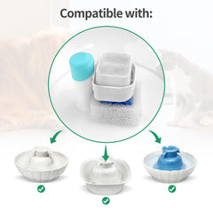 NautyPaws gros plan charbon actif montrant texture et capacité d'adsorption