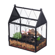 NCYP terrarium face avant avec porte ouverte, observation facile
