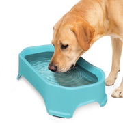 Neater Pet Brands gamelle XL face pour hydratation prolongée