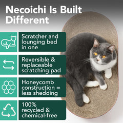 猫壱 Necoichi profil concave illustrant le maintien ergonomique du dos