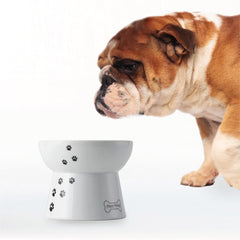 猫壱 gamelle face en porcelaine, élégante et facile à nettoyer