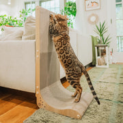 猫壱 Necoichi vue avant du grattoir mural Oak protégeant les meubles