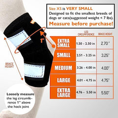 NeoAlly gros plan néoprène 4mm et doublure nylon, confort et durabilité pour chien