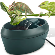 NEPTONION cantina vue avant montrant design et accès facile pour reptiles