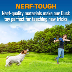 Nerf Dog canard en vol après lancement montrant distance maximale