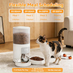 NEWBULIG réservoir 6L ouvert montrant grande capacité et remplissage simple