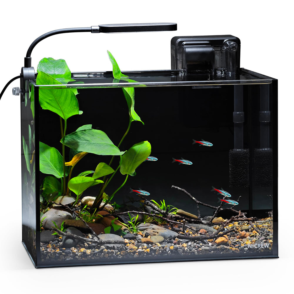 NICREW aquarium nano nature vue frontale, design compact et décoratif
