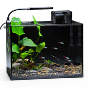 NICREW aquarium nano nature vue frontale, design compact et décoratif