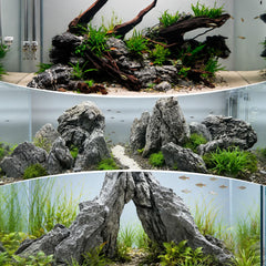 NIJIMORI pierres Seiryu intégrées dans aquarium planté, contraste végétal