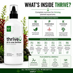 NilocG Thrive bouteille comparée à un objet pour visualiser l'échelle et le volume
