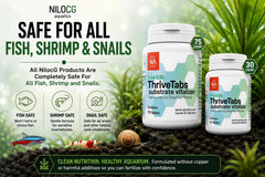 NilocG ThriveTabs pastille gros plan montrant texture et solidité