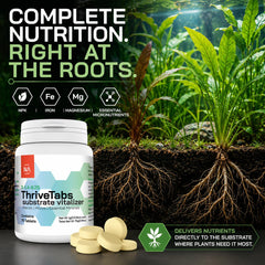 NilocG ThriveTabs pastille insérée dans le substrat pour nutrition ciblée