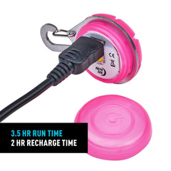 Nite Ize SpotLit fixé sur collier éclairage fixe visible pour promenades sûres