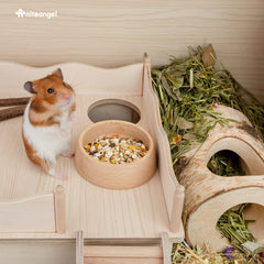 Niteangel gros plan motif Hammy gravé, esthétique sûre