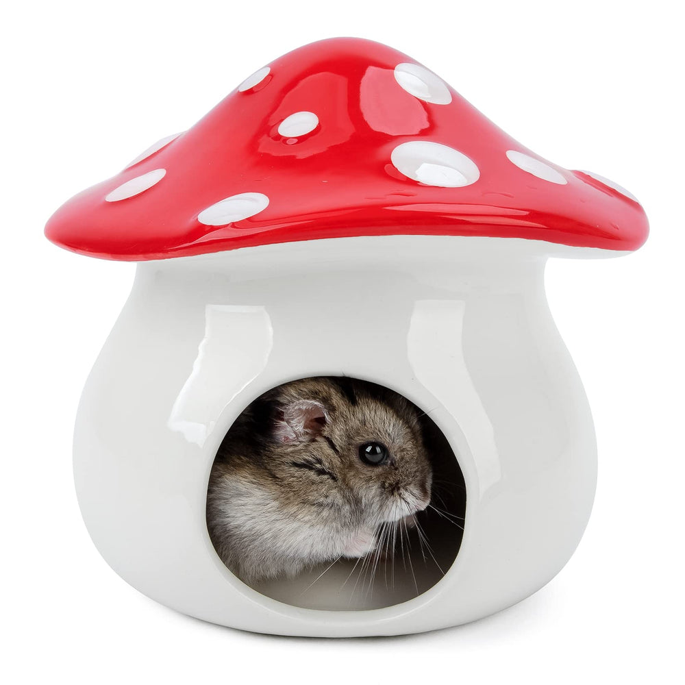 Niteangel abri champignon vue avant, esthétique et refuge sûr