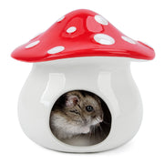 Niteangel abri champignon vue avant, esthétique et refuge sûr
