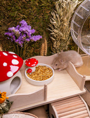 Niteangel comparaison taille pour doser la portion selon l'animal