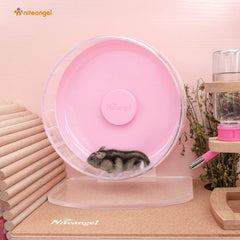 Niteangel gros plan tambour PS montrant résistance et surface lisse