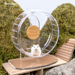 Niteangel roue en usage avec hamster courant calmement la nuit