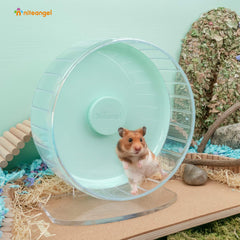 Niteangel roue en usage avec hamster, activité saine et calme