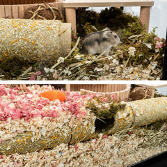 Niteangel tunnel installé dans une cage avec hamster bénéfice stimulation