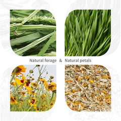 Niteangel gros plan texture cellulose et hay bénéfice mastication sûre