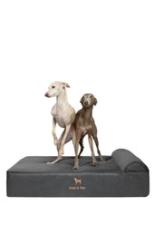 NOAH & PAW lit grand vue avant montrant soutien et confort