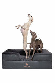 NOAH & PAW lit orthopédique face avant montrant maintien confortable