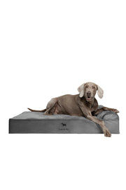 NOAH & PAW lit orthopédique face montrant soutien et confort